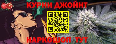гашик Сланцы