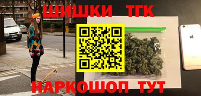 гашик Сланцы