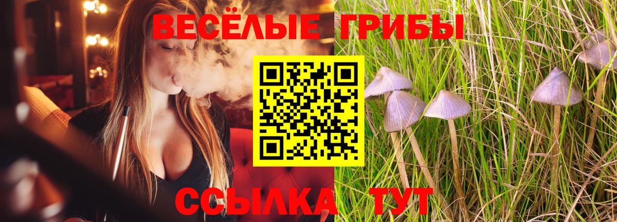 Родники  Галлюциногенные грибы ЛСД  Вход с VPN 