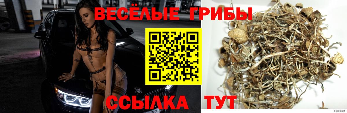 Галлюциногенные грибы Magic Shrooms Родники